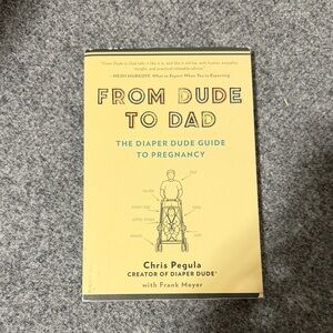 From Dude to Dad Book